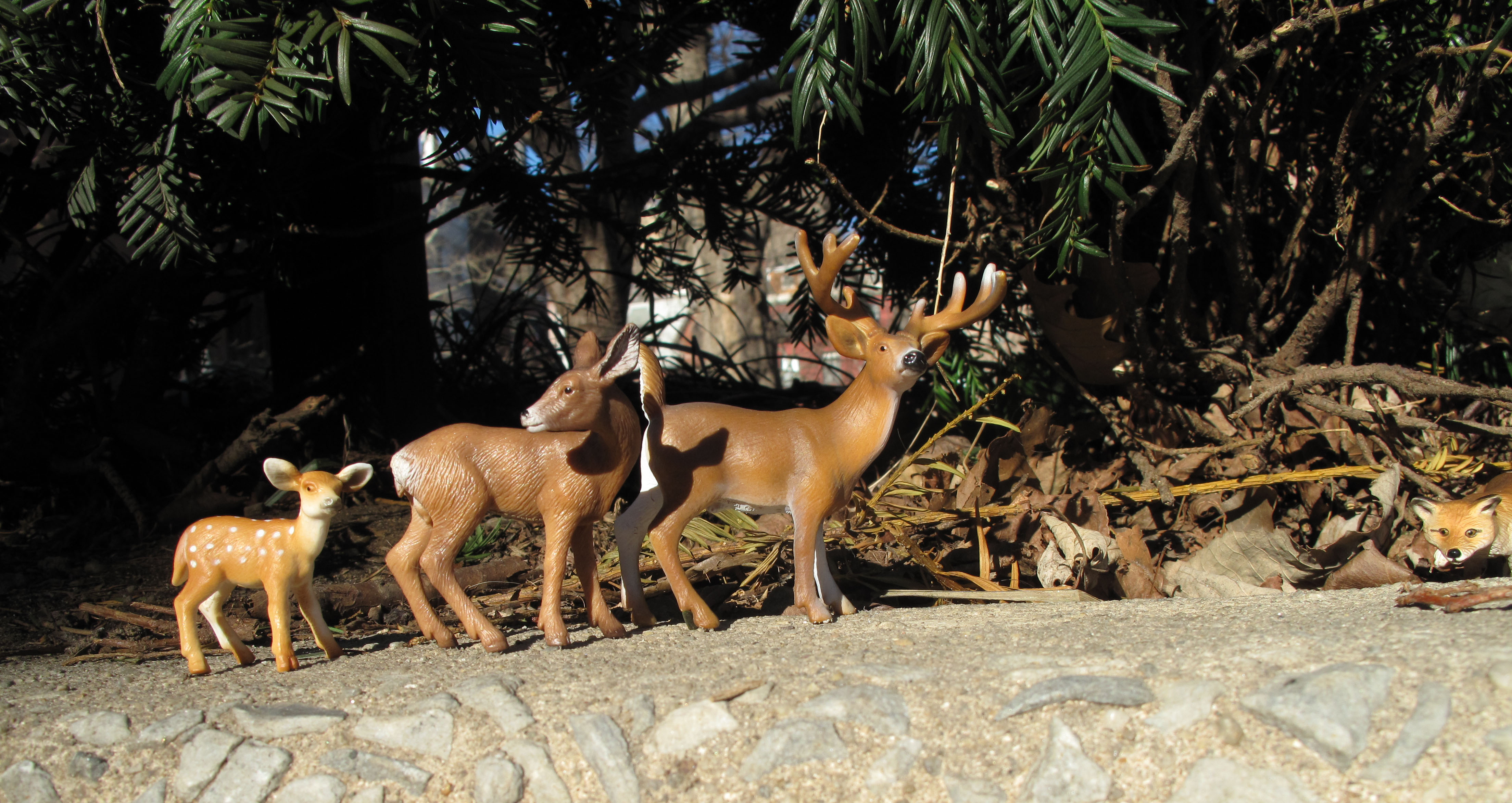 andreawolf: slideshow image 2